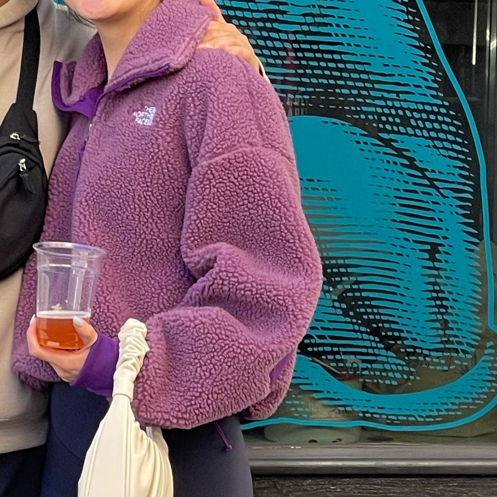The North Face Cozy Purple Pullover - Picture 4 of 4
